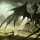 Calling all Dragon and Fantasy Lovers! Fantasy-Fiction Genre: A Haven